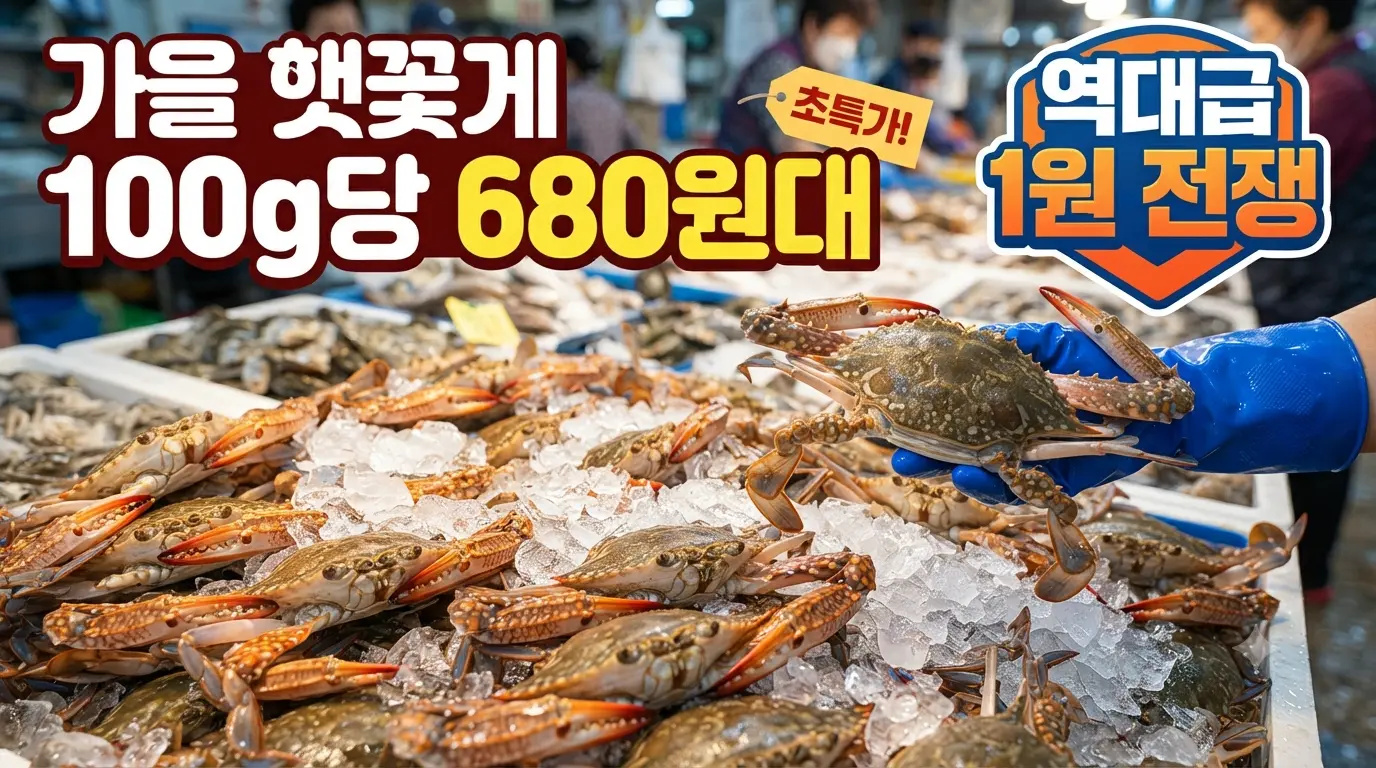 "가을 햇꽃게 100g당 680원대 초특가 판매 현장 및 역대급 1원 전쟁"